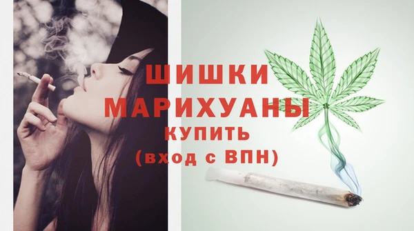прущие крисы Заводоуковск