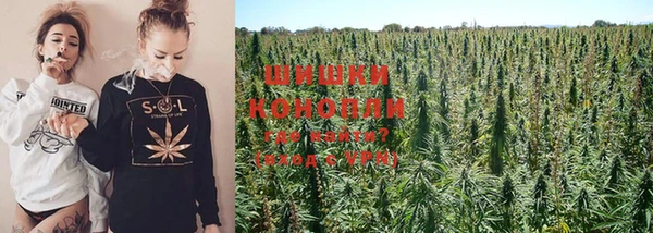 прущие крисы Заводоуковск