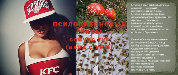 метадон Заволжье