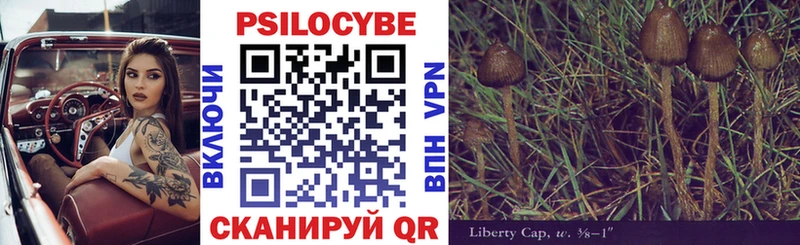 Купить Новосокольники Галлюциногенные грибы GOLDEN TEACHER