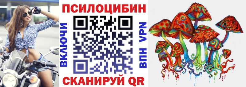 Псилоцибиновые грибы Cubensis Новосокольники