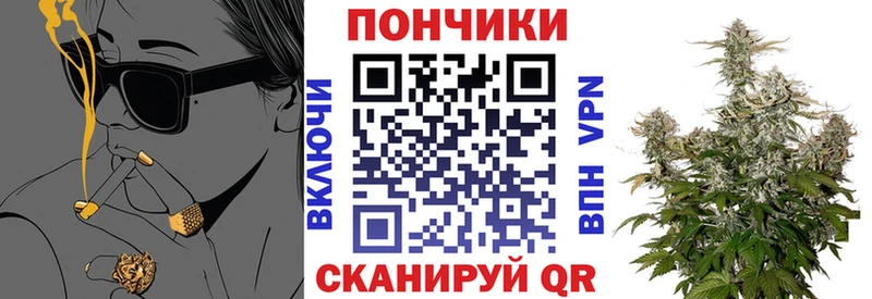 Шишки марихуана план Купить Новосокольники